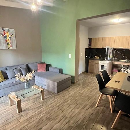 Ria'S Gardenview Apartment Ioannina Buitenkant foto